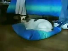 Това не е невинност забранени порно сайт онлайн